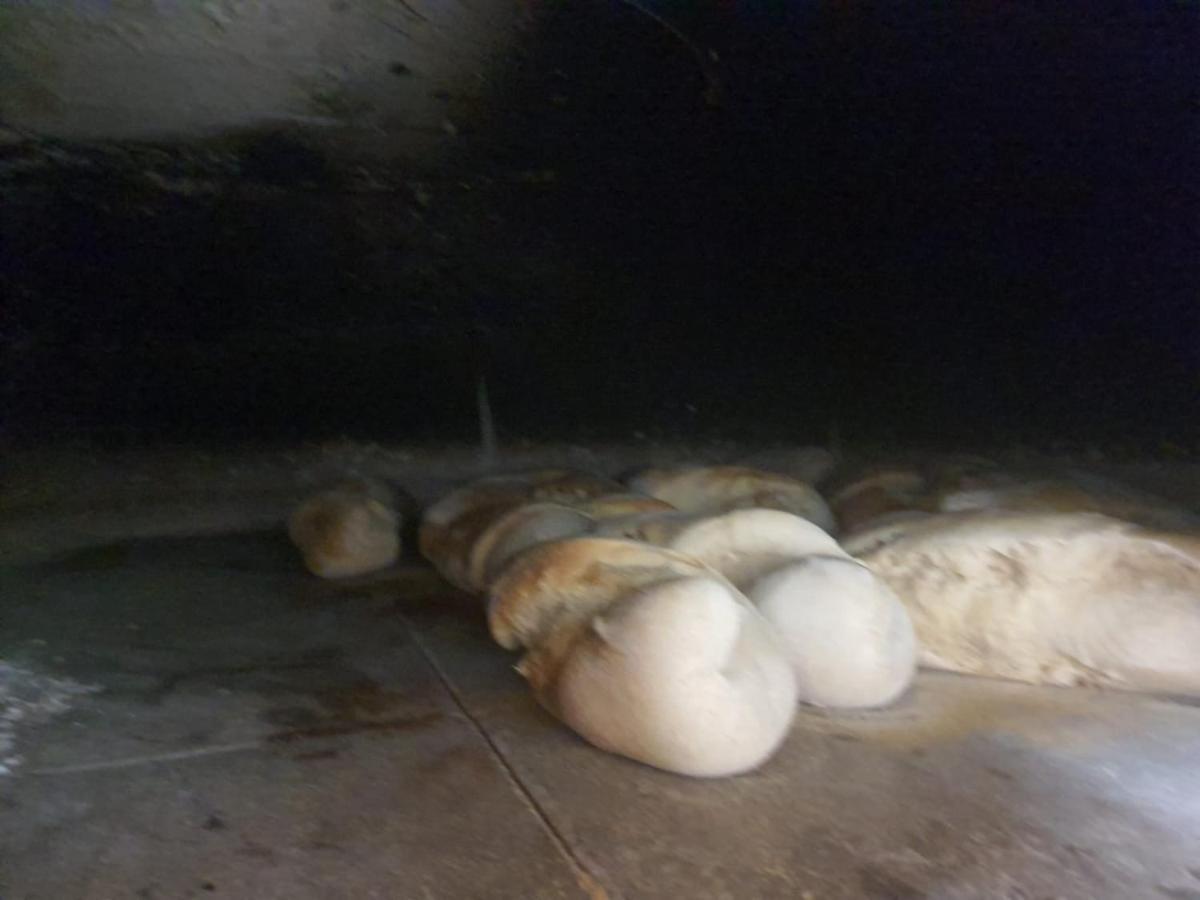 Masseria Sacramento Palagianello 外观 照片